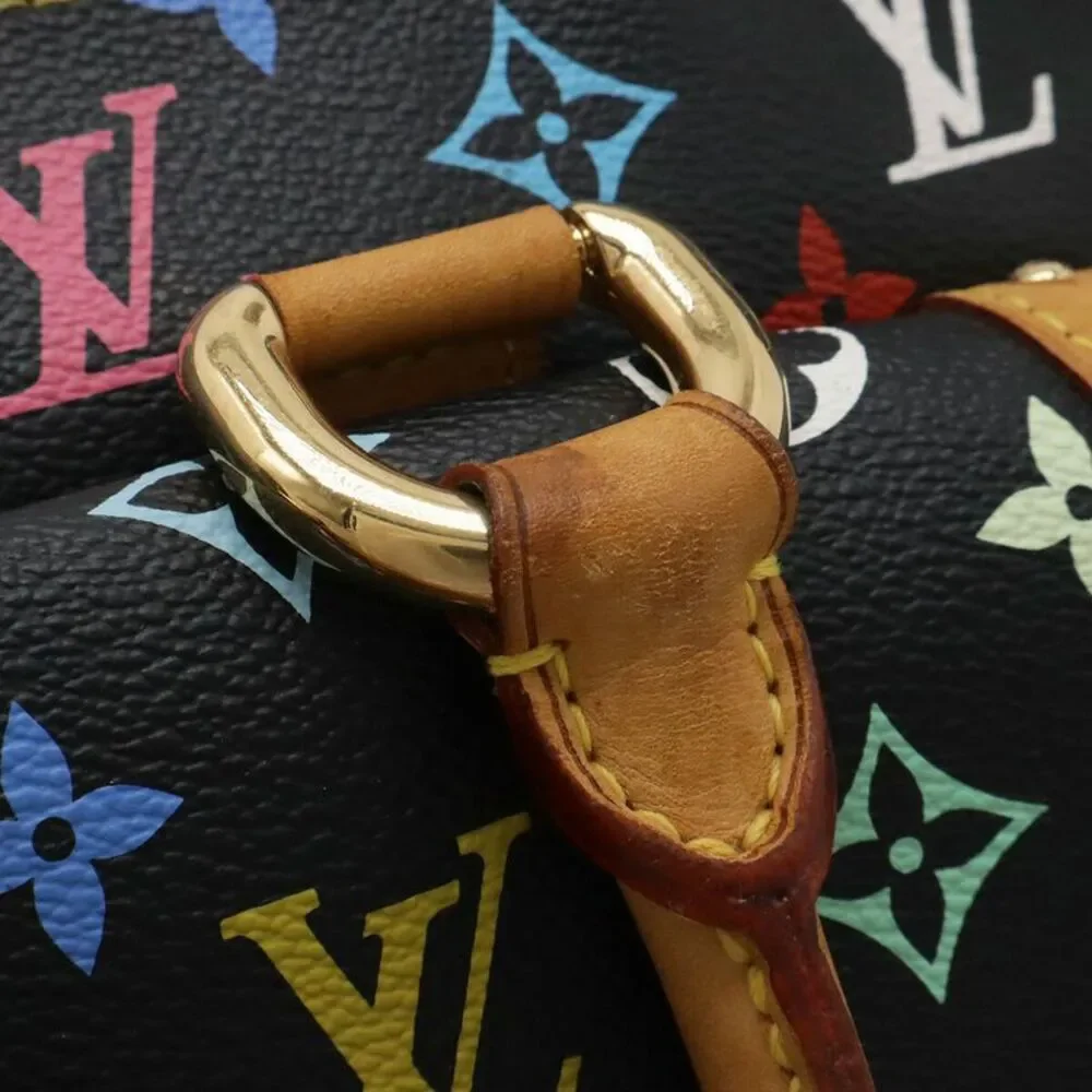 Louis Vuitton Monogram Multicolore Handbag